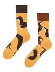 Chaussettes rigolotes Teckels