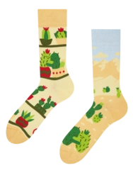 Veselé ponožky Kaktusová láska