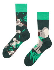 Vidám zokni Koala és levelek