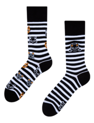 Calzini Buonumore Gatti & Righe