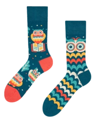 Veselé ponožky Moudrá sova