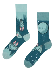 Veselé ponožky Netopiere v noci