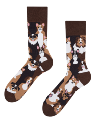 Calzini Buonumore Cagnolini