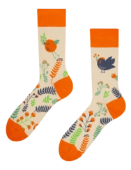 Veselé ponožky Roztomilé vtáčiky