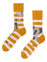 Veselé ponožky Slon a pruhy