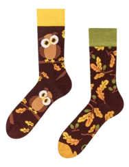 Veselé ponožky Zvědavá sova