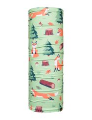 Весел шал-яка Лисица в гората