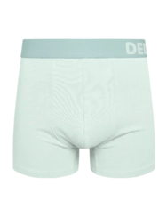 Boxer vert menthe pour hommes Boxer vert menthe pour hommes