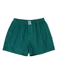Caleçon à motifs bleu et vert pour hommes Caleçon à motifs bleu et vert pour hommes