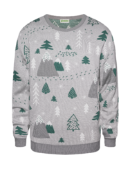 Winter Sweater Grey Forest