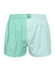 Turquoise & Blue Men's Boxer Shorts