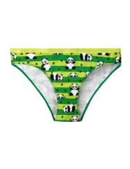 Culotte rigolote pour femmes Panda et rayures Culotte rigolote pour femmes Panda et rayures