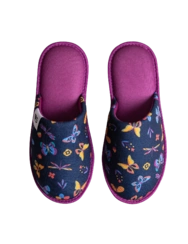 Slippers Butterflies