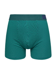 Blauw-groene trunks voor heren met patroon