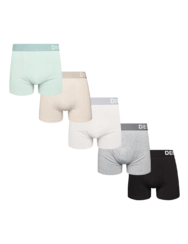 Sada 5 pánských boxerek - Essentials
