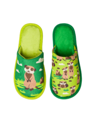 Vidám házi papucs Szurikáták