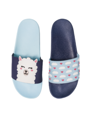 Slides Llama & Clouds