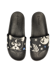 Vidám papucs Macska és hold