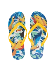 Veselé žabky Tropičtí ptáci