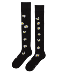 Весели чорапи над коляното Маргаритки в нощта