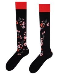 Veselé podkolenky Folková láska