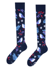 Veselé podkolienky Vtáčik v zime