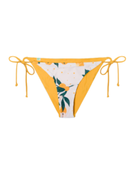 Bikini Bottom Oranges