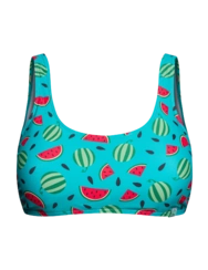 Veselá sportovní plavková podprsenka Melounová sezóna
