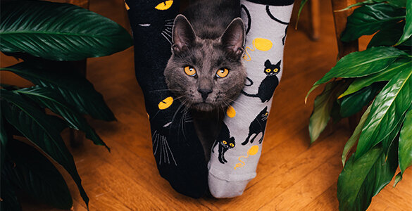 Chaussettes hautes rigolotes