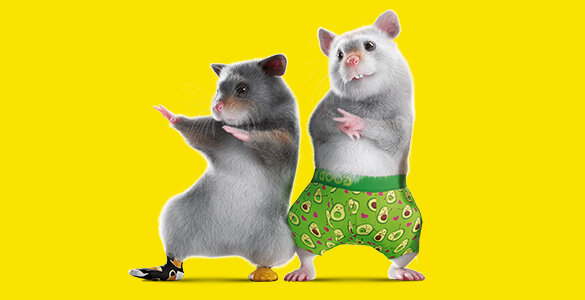 Ajándékutalványok