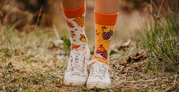 Autumn Collection