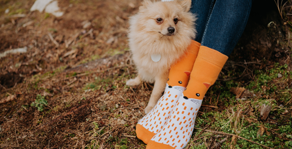 Warm socks