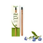 Plant Your Pencil – Forget Me Not Plant Your Pencil – Forget Me Not