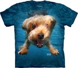 Kids T-shirt Playful Dog under Water Yorkshire Terrier - blue Kids T-shirt Playful Dog under Water Yorkshire Terrier - blue