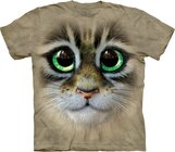 Big Eyes Kitten Face Big Eyes Kitten Face