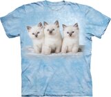 T-Shirt Kätzchen auf Wolke- T-Shirt Kätzchen auf Wolke-