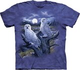 Snowy Owls Adult Snowy Owls Adult