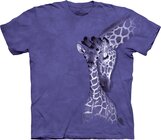 Giraffe Family Adult Giraffe Family Adult