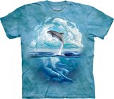 Dolphin Sky Adult Dolphin Sky Adult
