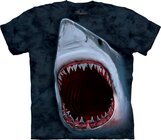 Shark Bite Adult Shark Bite Adult
