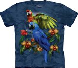 Tropical Friends Adult Tropical Friends Adult