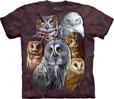 Owls Adult Owls Adult