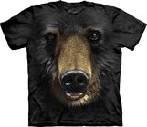 Black Bear Face Adult Black Bear Face Adult