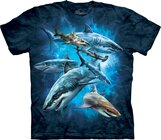 Shark Collage Adult Shark Collage Adult