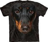Daschund Head Adult Daschund Head Adult