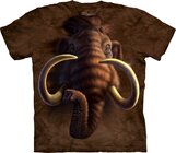 Mammoth Head Adult Mammoth Head Adult