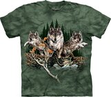 Find 12 Wolves Adult Find 12 Wolves Adult