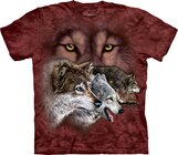 Find 9 Wolves Adult Find 9 Wolves Adult
