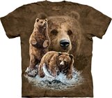 Find 10 Brown Bears Find 10 Brown Bears