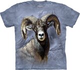 T-Shirt Mufflon T-Shirt Mufflon